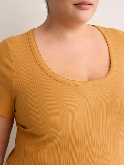 SPRUCE YELLOW