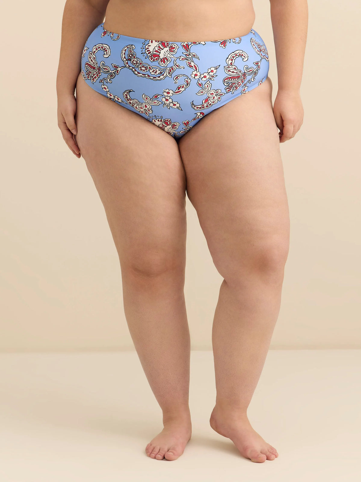 Della Robbia blue printed